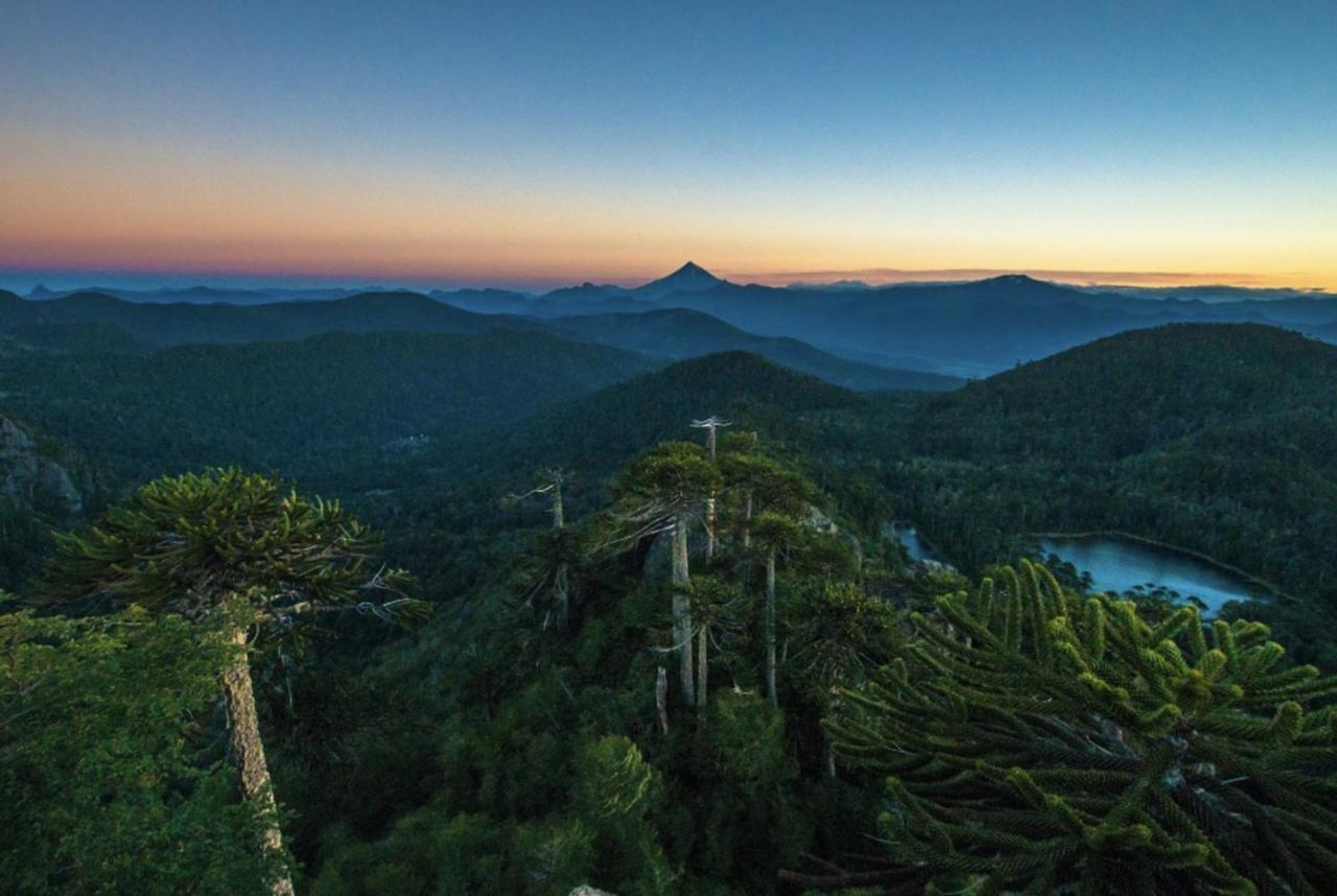 Pucon, La Capital Del Sur De Chileアパートメント エクステリア 写真