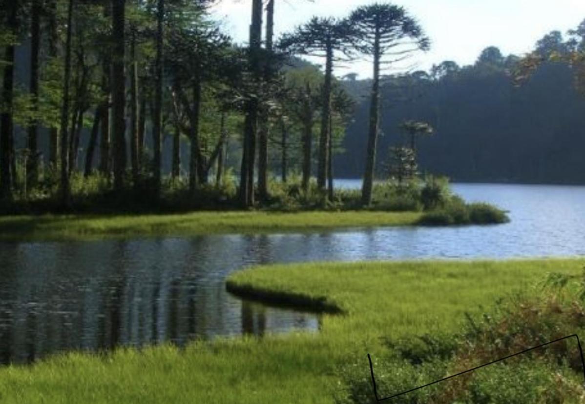 Pucon, La Capital Del Sur De Chileアパートメント エクステリア 写真