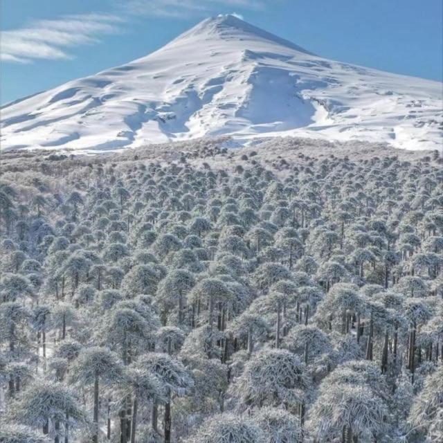 Pucon, La Capital Del Sur De Chileアパートメント エクステリア 写真